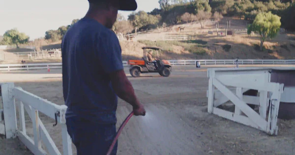 Unleash Your Primal Vitality